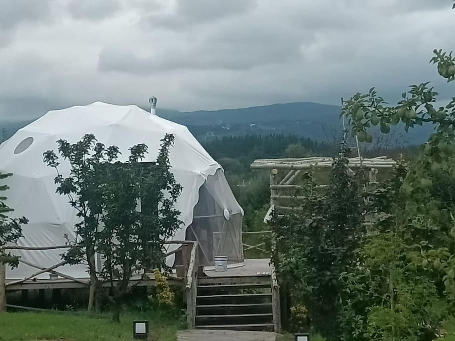 Sapanca Green Dome Экстерьер фото